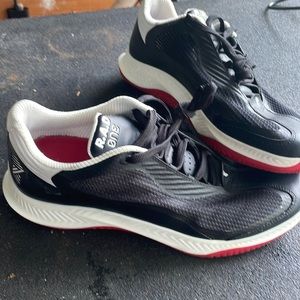 RAD Global Bred 11 color training shoe
